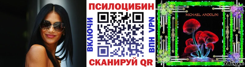 наркошоп  Рудня  Галлюциногенные грибы Psilocybe 